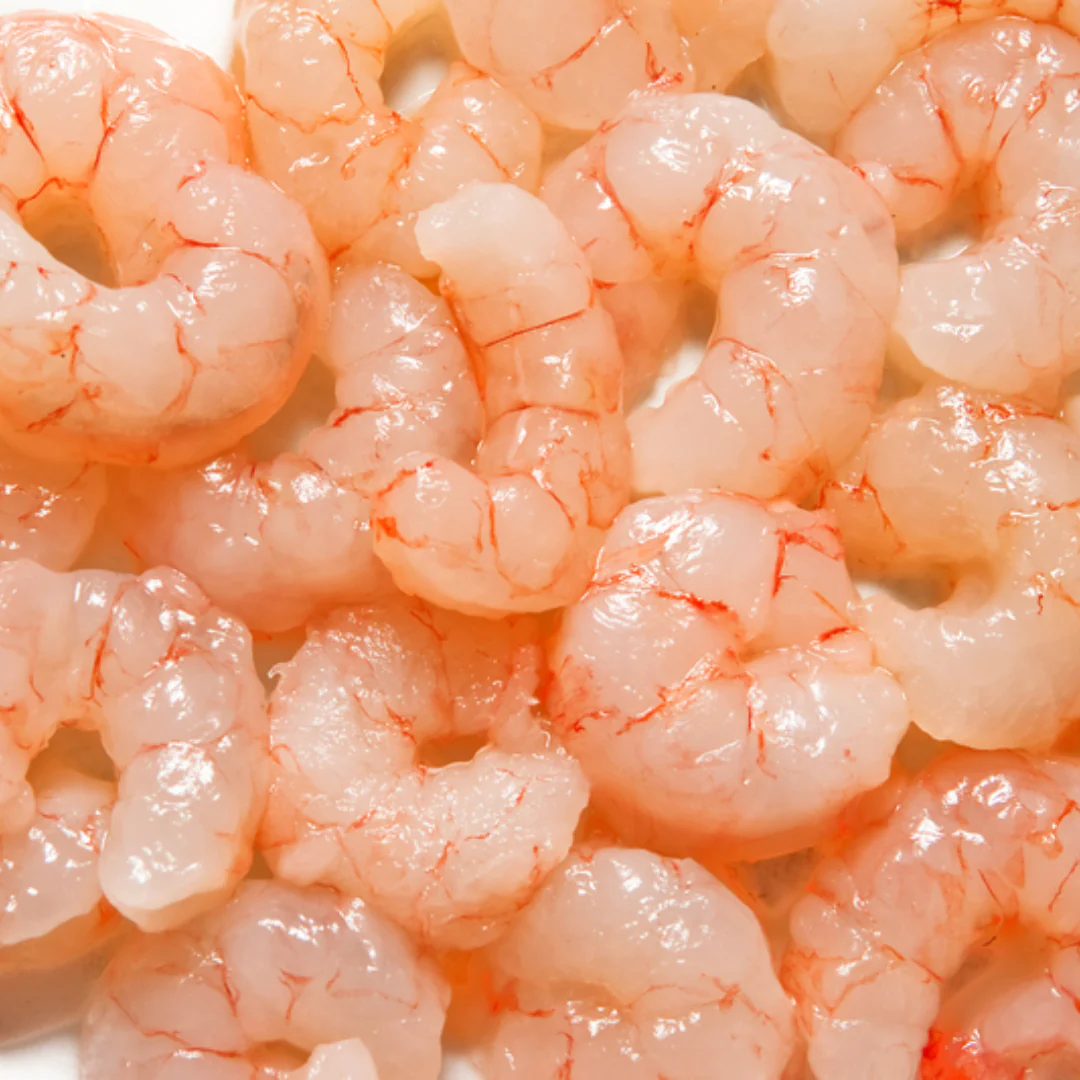 Buy Frozen Pacific Shrimp Meat – Wild-Caught, Cooked, and Ready-to-Eat - Image 3