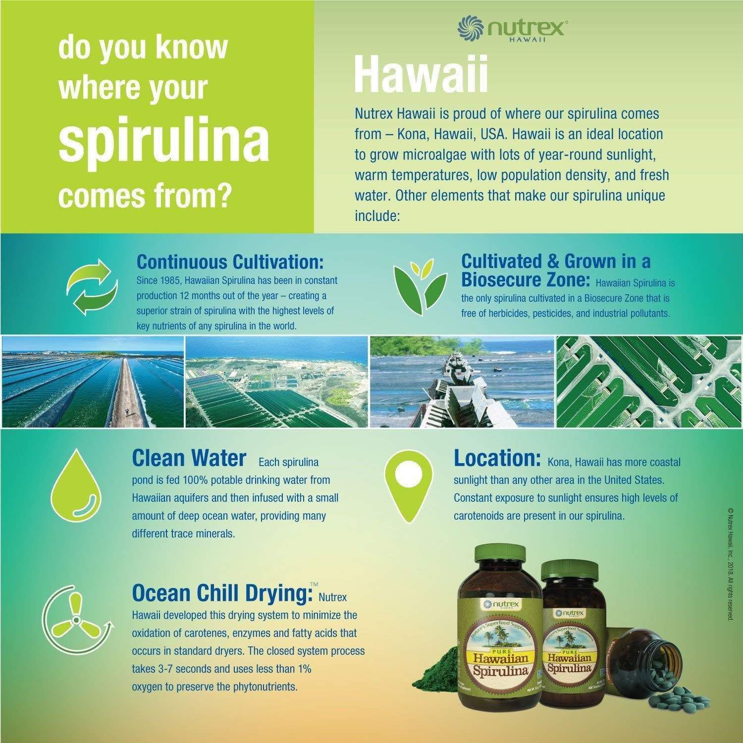 Hawaiian Spirulina Powder Grown in Hawaii - Image 6