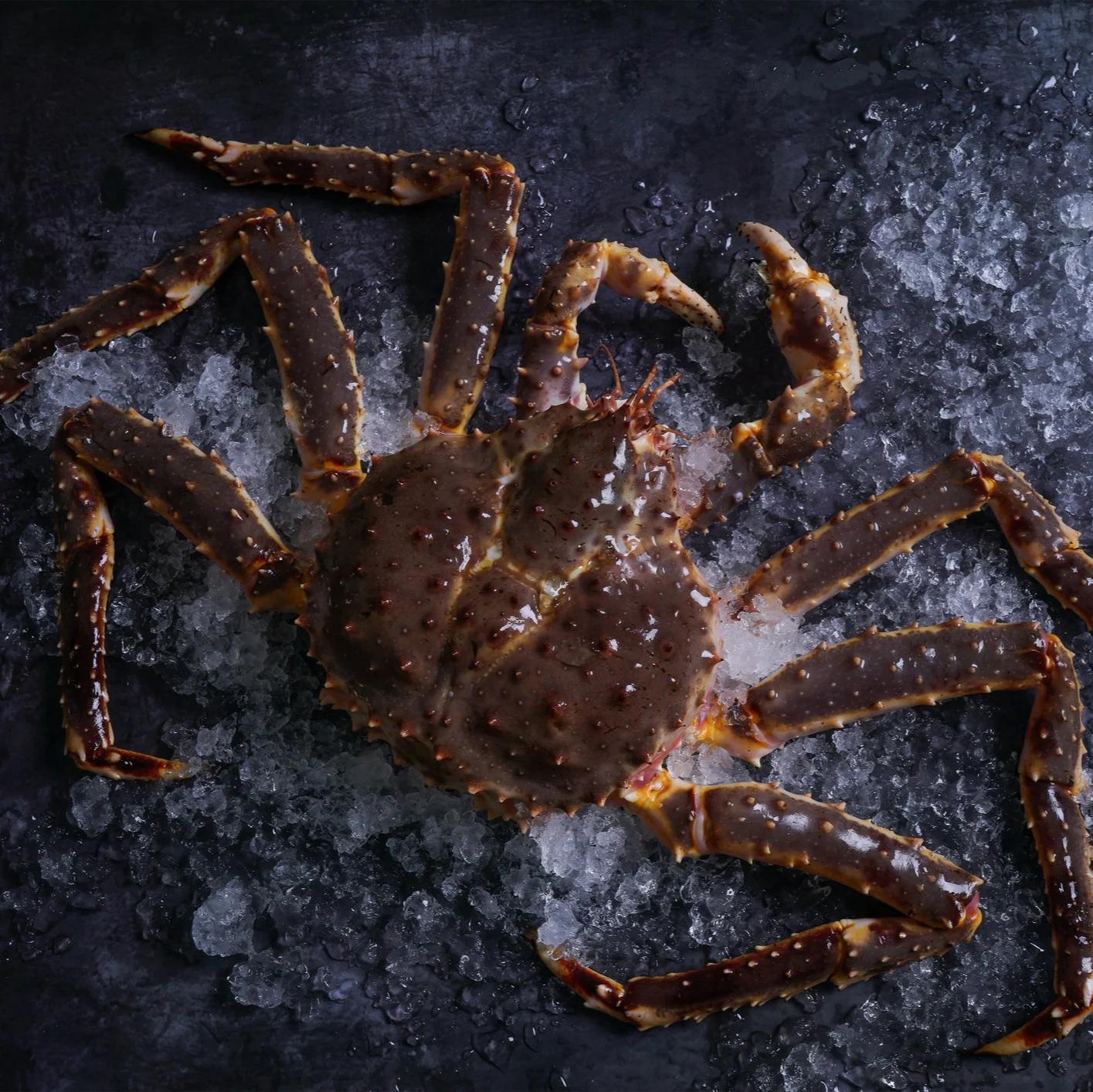 King Crab - Premium Live Seafood Delivered to Your Doorstep - Image 3