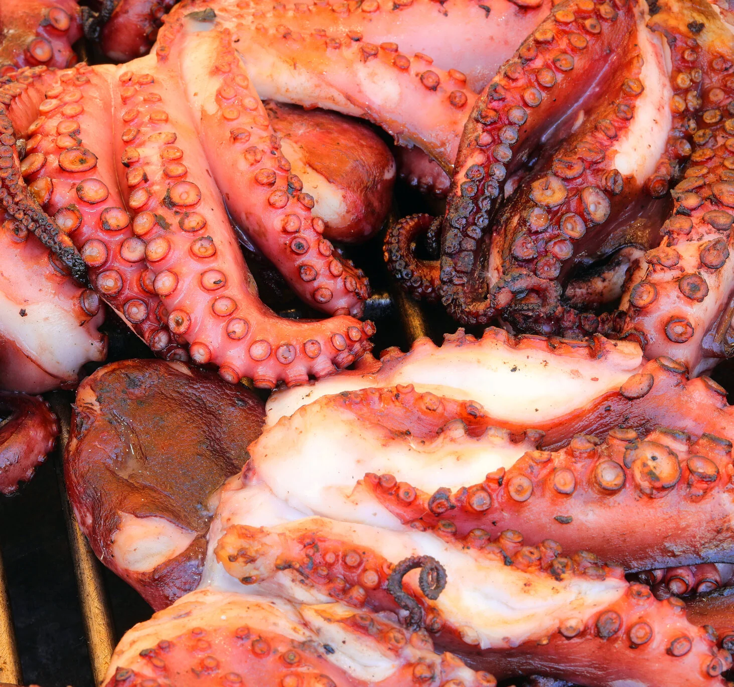 Premium Broiled Octopus – Wild-Caught, Fully Cooked & Sashimi-Grade - Image 2