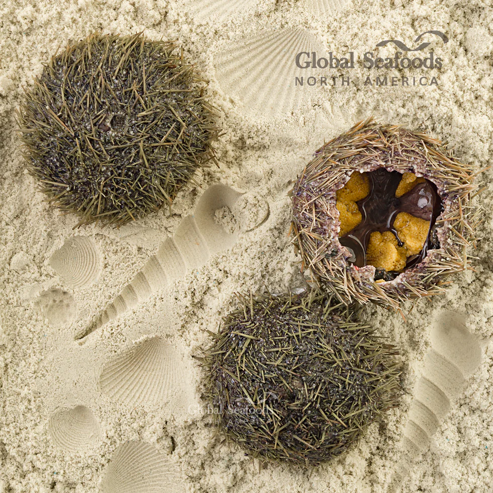 Premium Quality Sea Urchin (Uni) from the Cold Waters of Alaska - Image 5