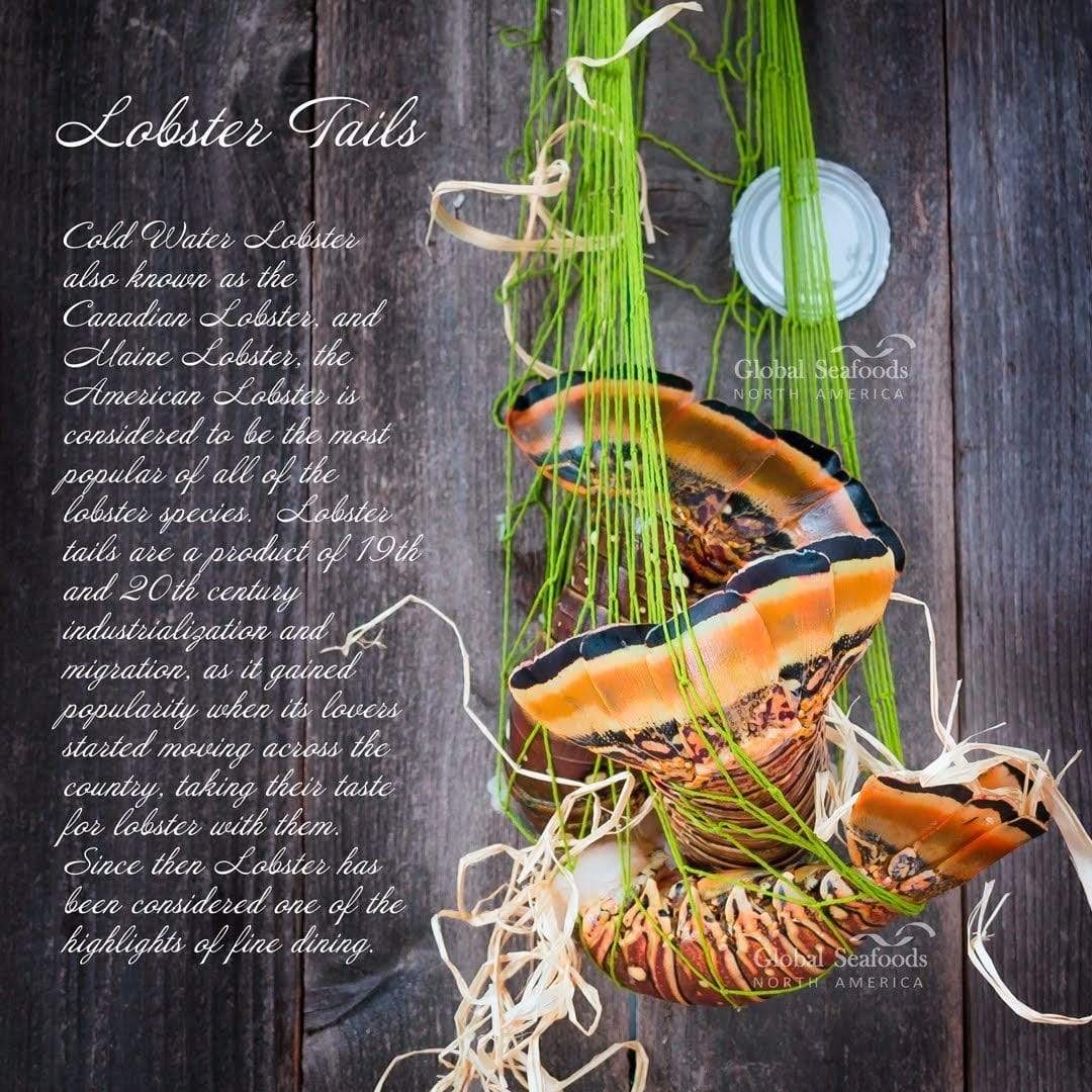 Caribbean Warm Water Lobster Tails - 5 lbs - Image 3